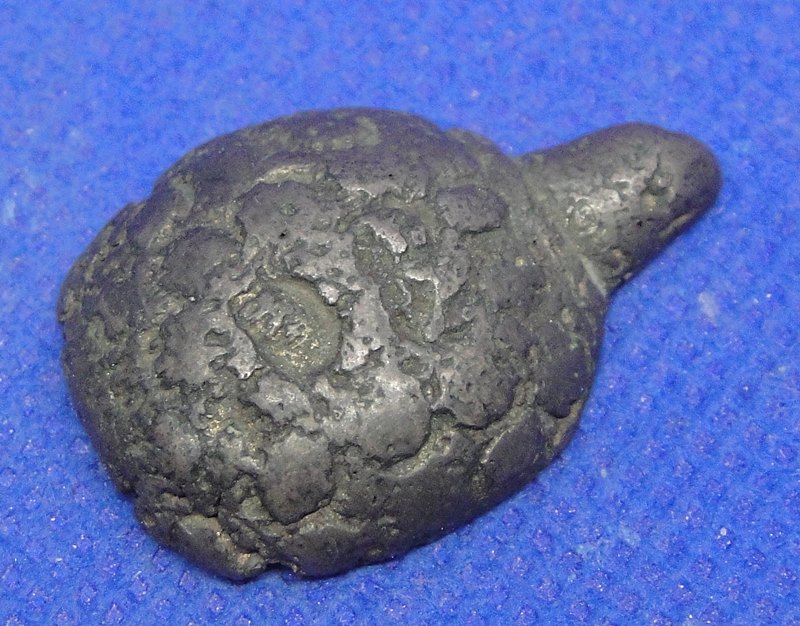 เต่าหลวงพ่อเงิน