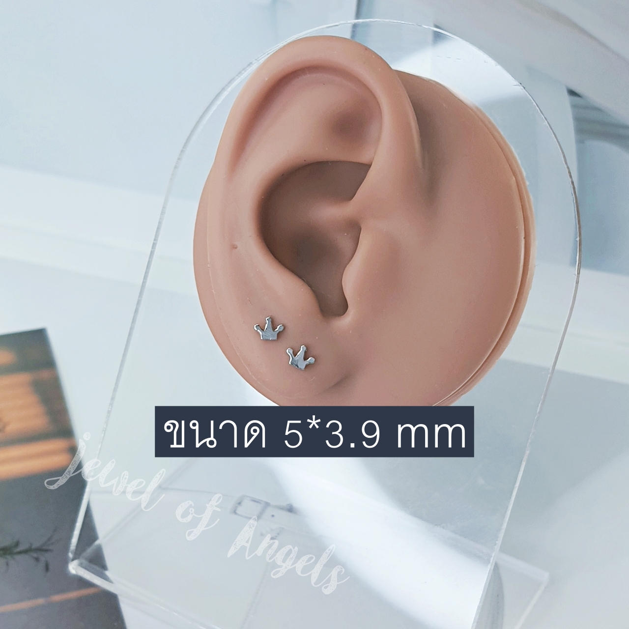 ต่างหูเงินแท้ S925 รุ่น Variety ต่างหูสตั๊ด stud มินิมอล ตุ้มหูเงินแท้ทั้งชิ้น Silver925