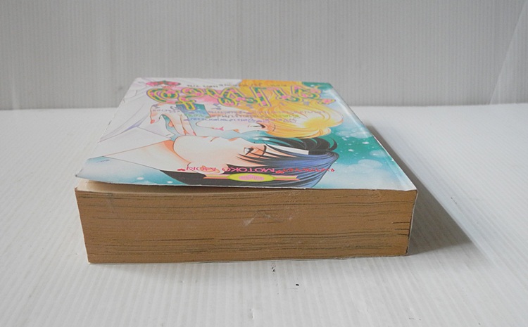 สารวัตรรูปหล่อ ตอนรูปหล่อขอแต่งงาน (เล่มเดียวจบ) / Motoko Mori