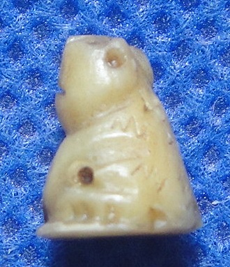 เสือจิ๋วสาริกา