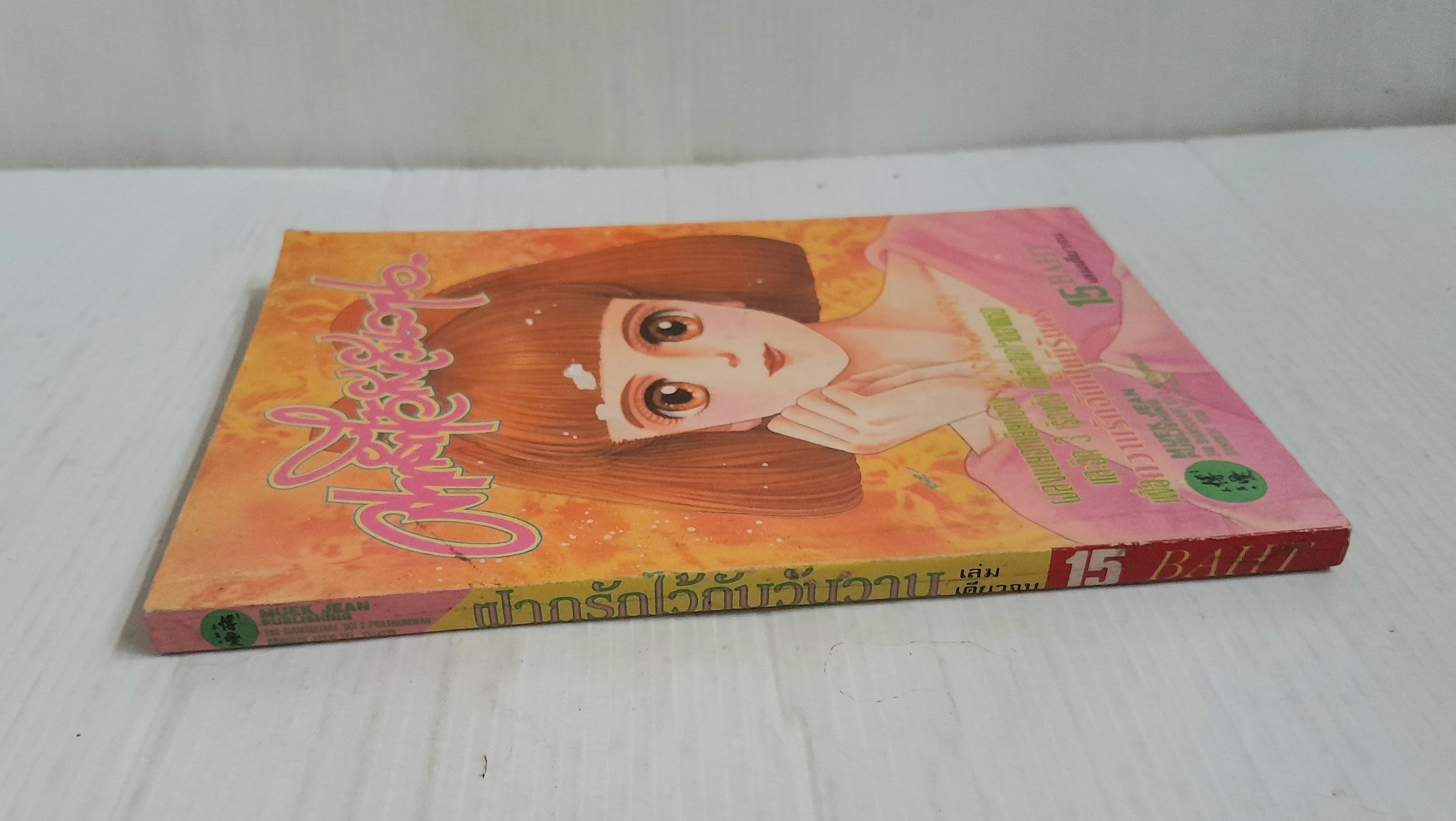 ฝากรักไว้กับวันวาน (เล่มเดียวจบ) / Morioka mari