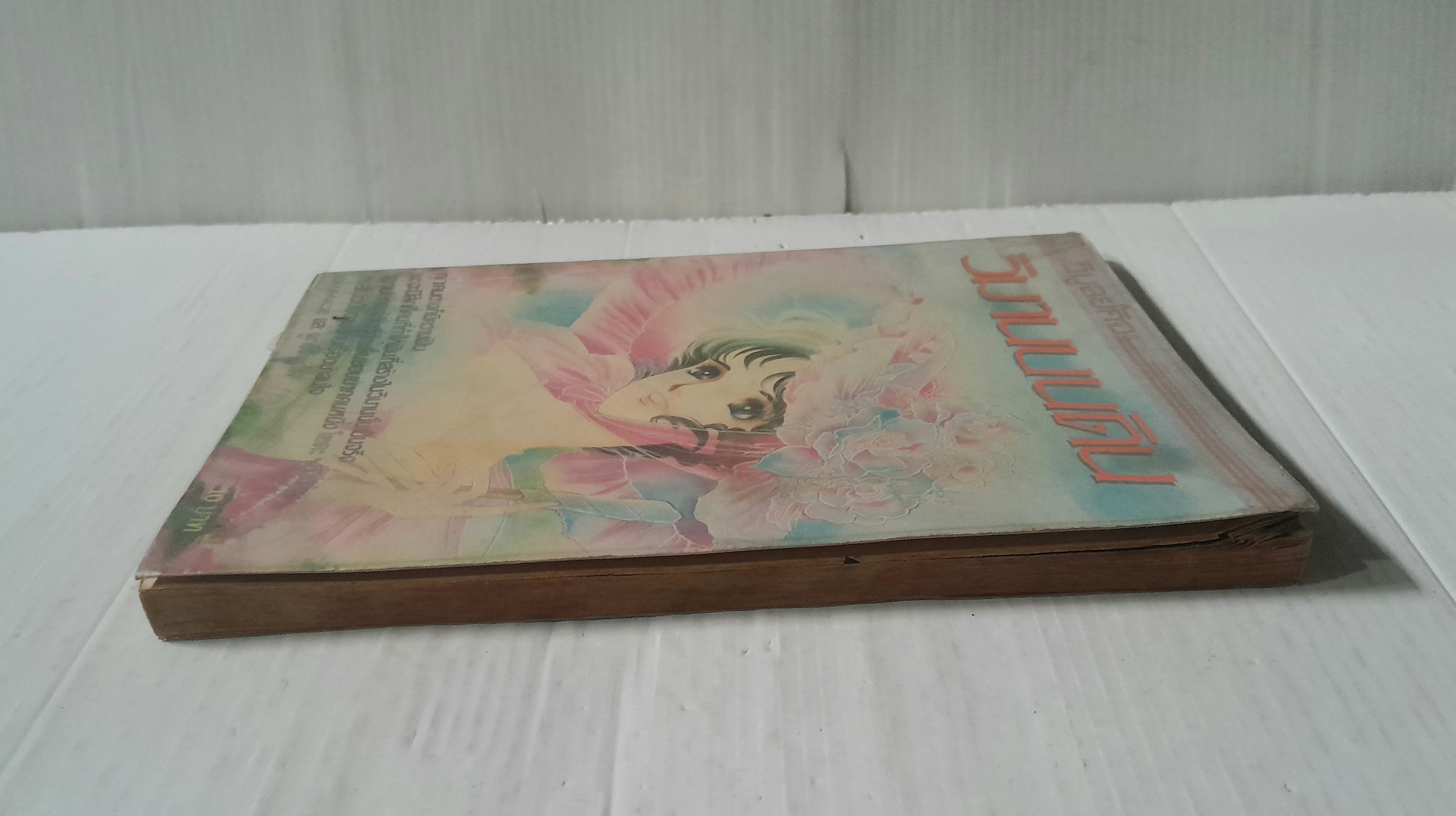 วิมานบนดิน (เล่มเดียวจบ)