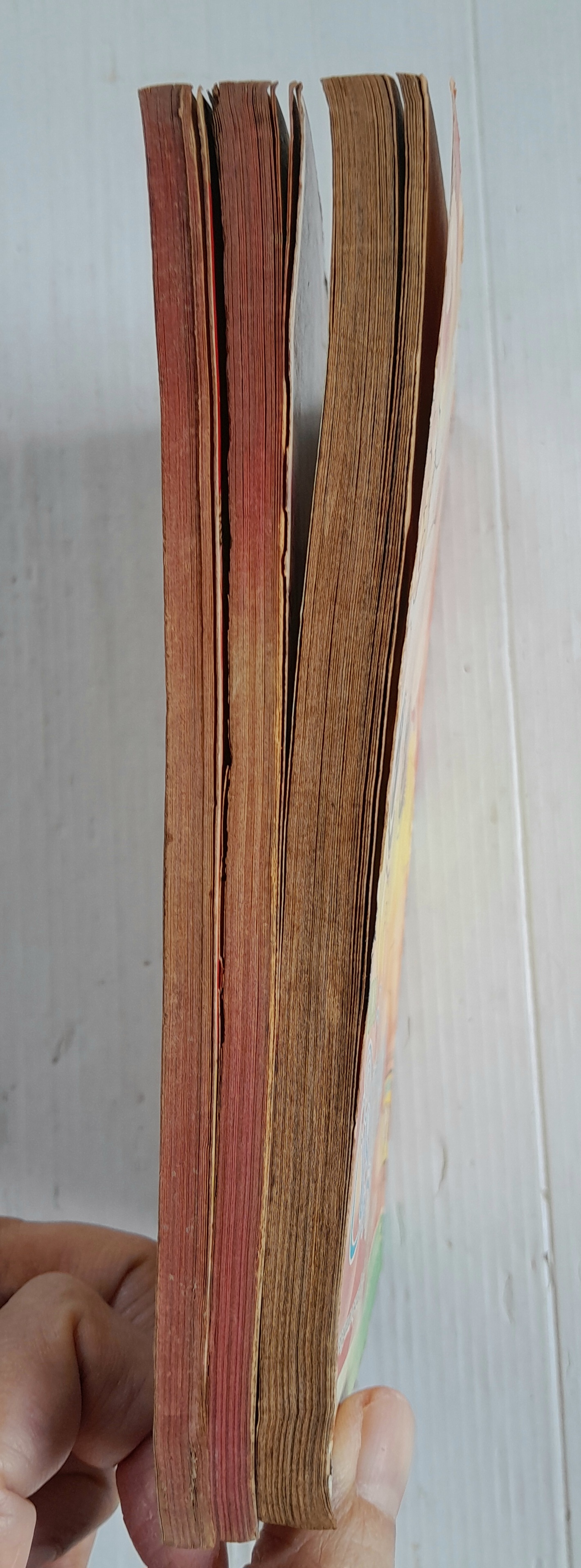 ละครสัตว์ที่รัก 3 เล่มจบ / อิงาราชิ ยูมิโกะ