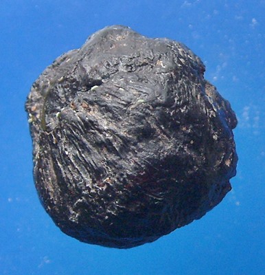 ลูกอมชานหมากหลวงพ่อเถิ่ง