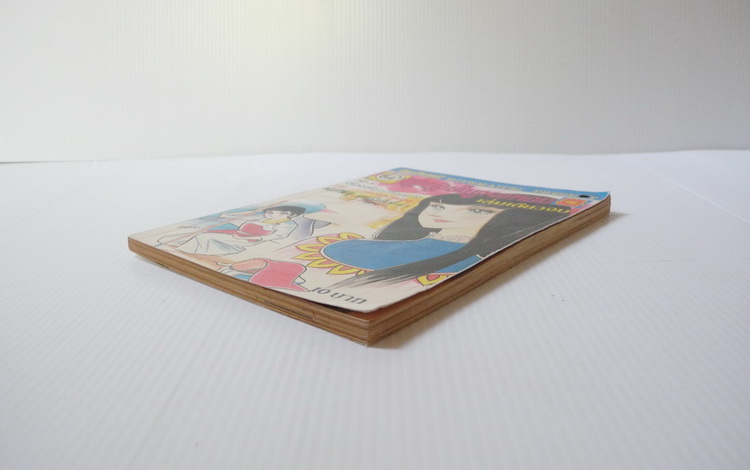 นกน้อยในกรงทอง ( เล่มเดียวจบ )