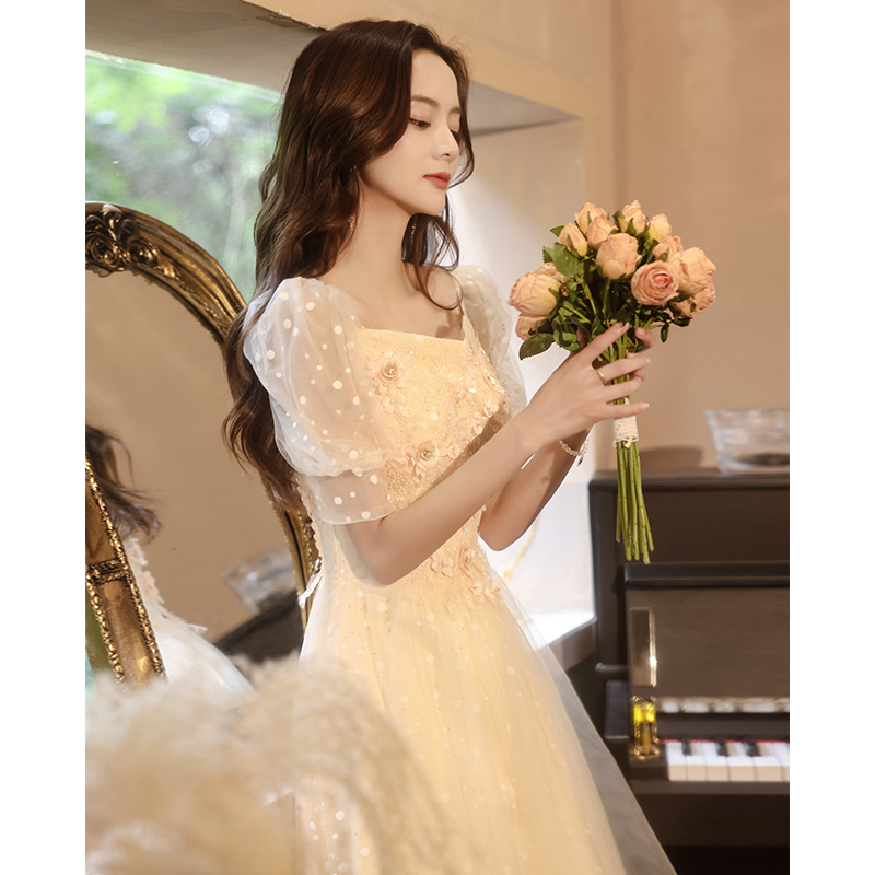 ชุดราตรี ชุดราตรีสวยหรู แบบ ทันสมัย Evening dress