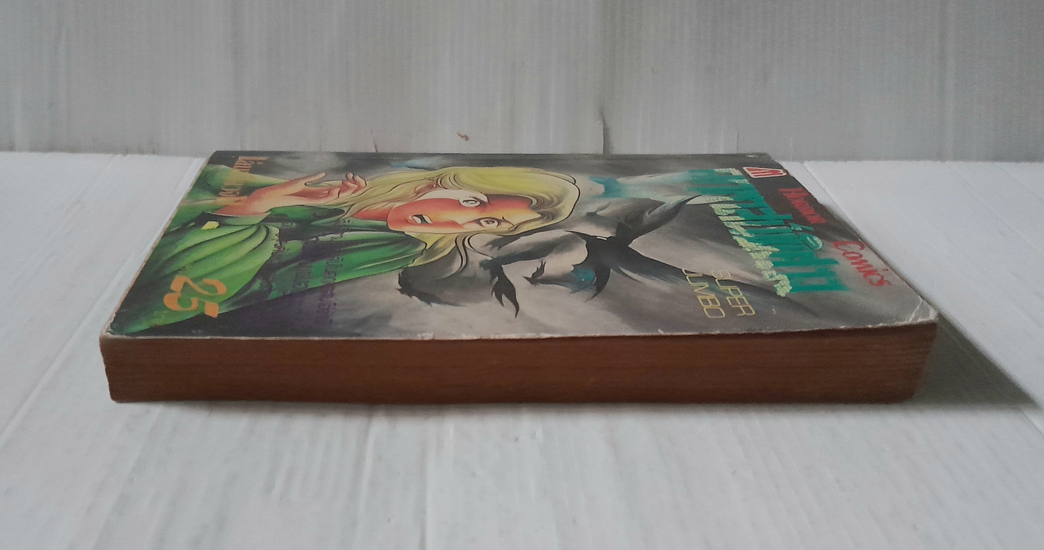 คฤหาสน์พิศวง (เล่มเดียวจบ)