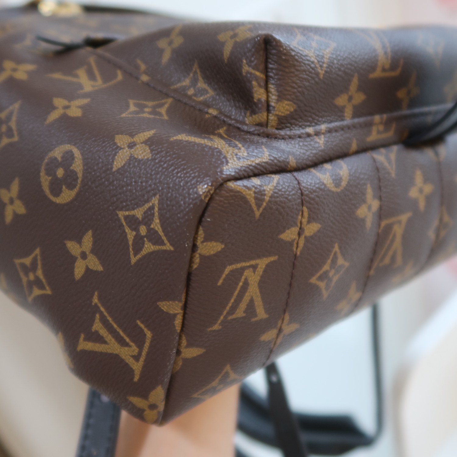 Louis Vuitton Monogram Palm Spring MM
