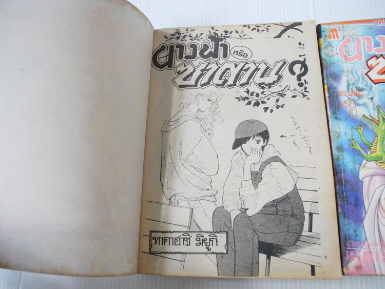 นางฟ้าหรือซาตาน 2 เล่มจบ / TAKAHASHI MIYUKI