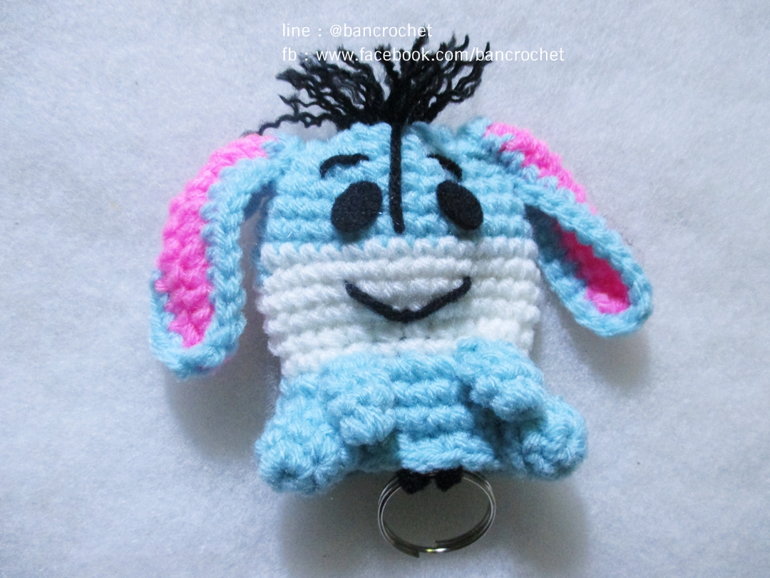 ครอบกุญแจอิยอร์