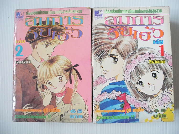 สมการวัยเฮ้ว 2 เล่มจบ / Sugi Emiko