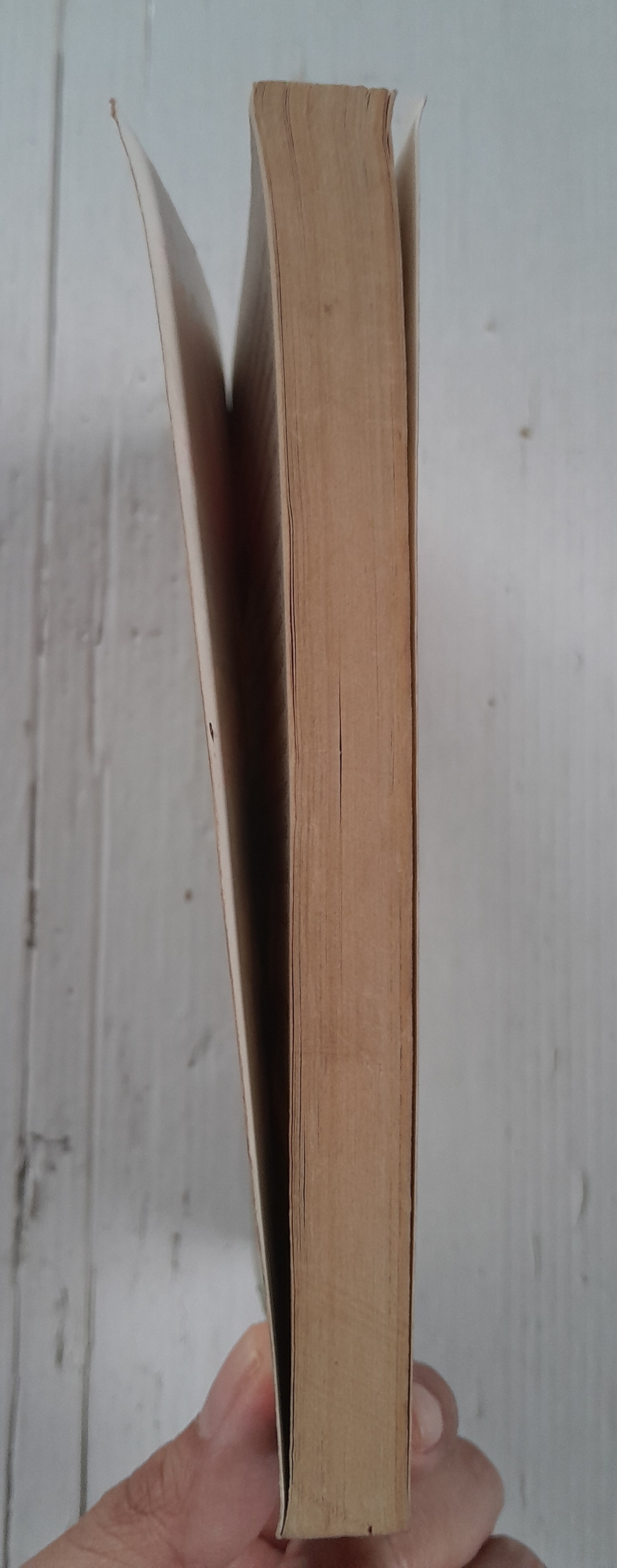 ตำนาน 8 ลูกแก้ว (เล่มเดียวจบ) / Ishikawa ken