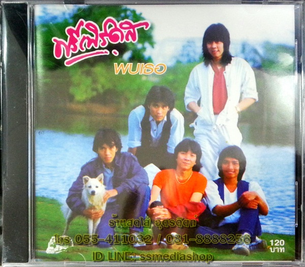 CD ฟรีเบิร์ดส ชุดพบเธอ