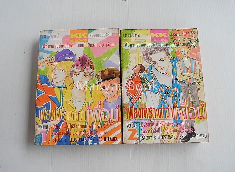 เพียงเพราะคำว่าเพื่อน 2 เล่มจบ / YACHI EMIKO