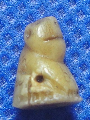 เสือจิ๋วสาริกา