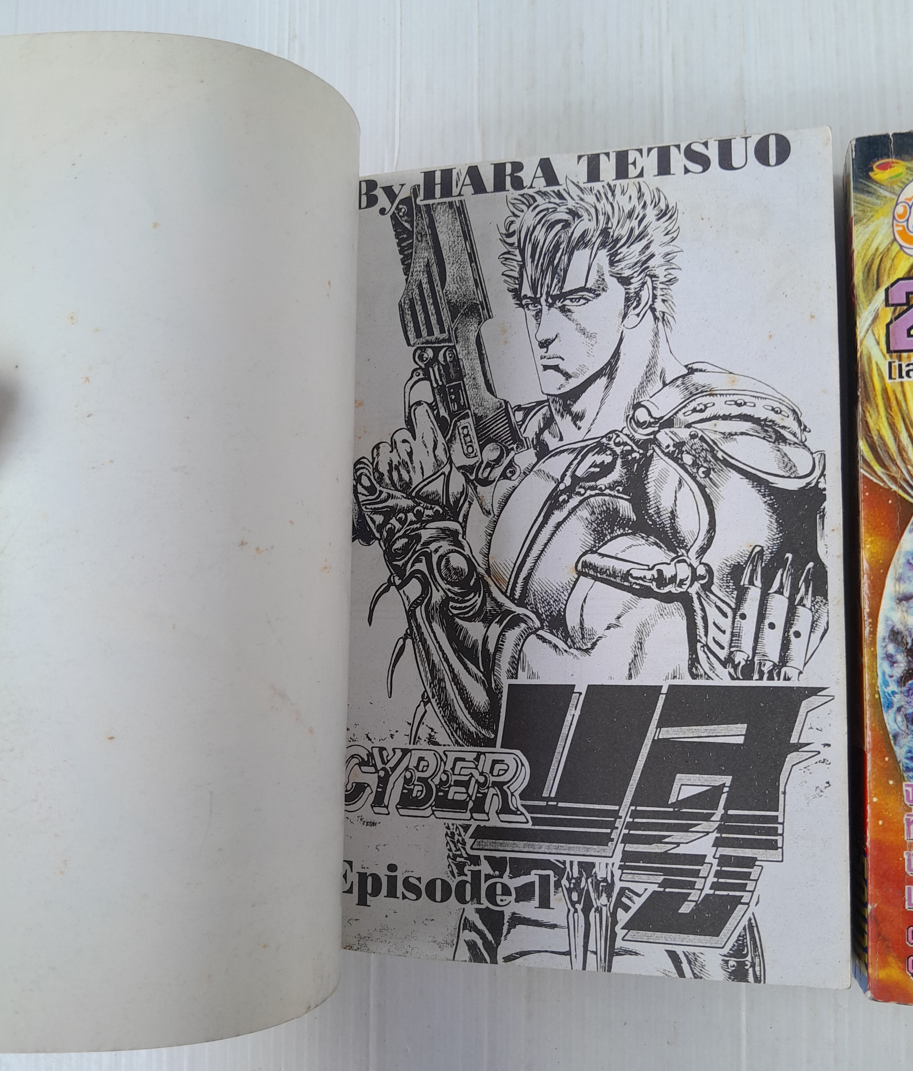 ไซเบอร์บูล 2 เล่มจบ / ฮาร่า เท็ตสึโอะ