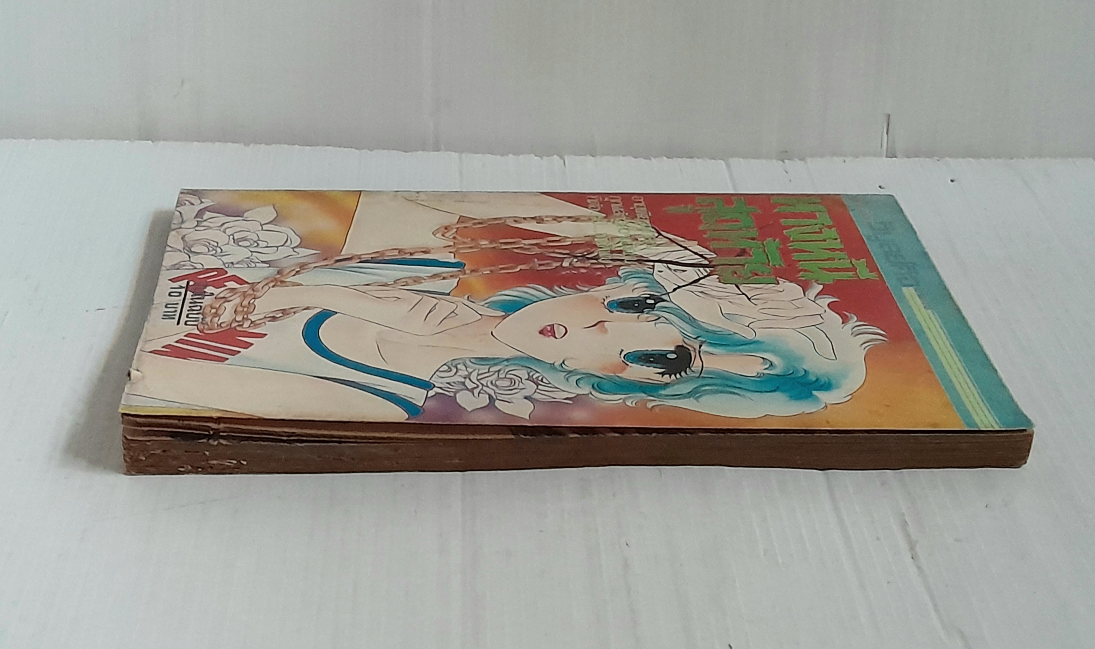 ทางหนีสุดท้าย (เล่มเดียวจบ)