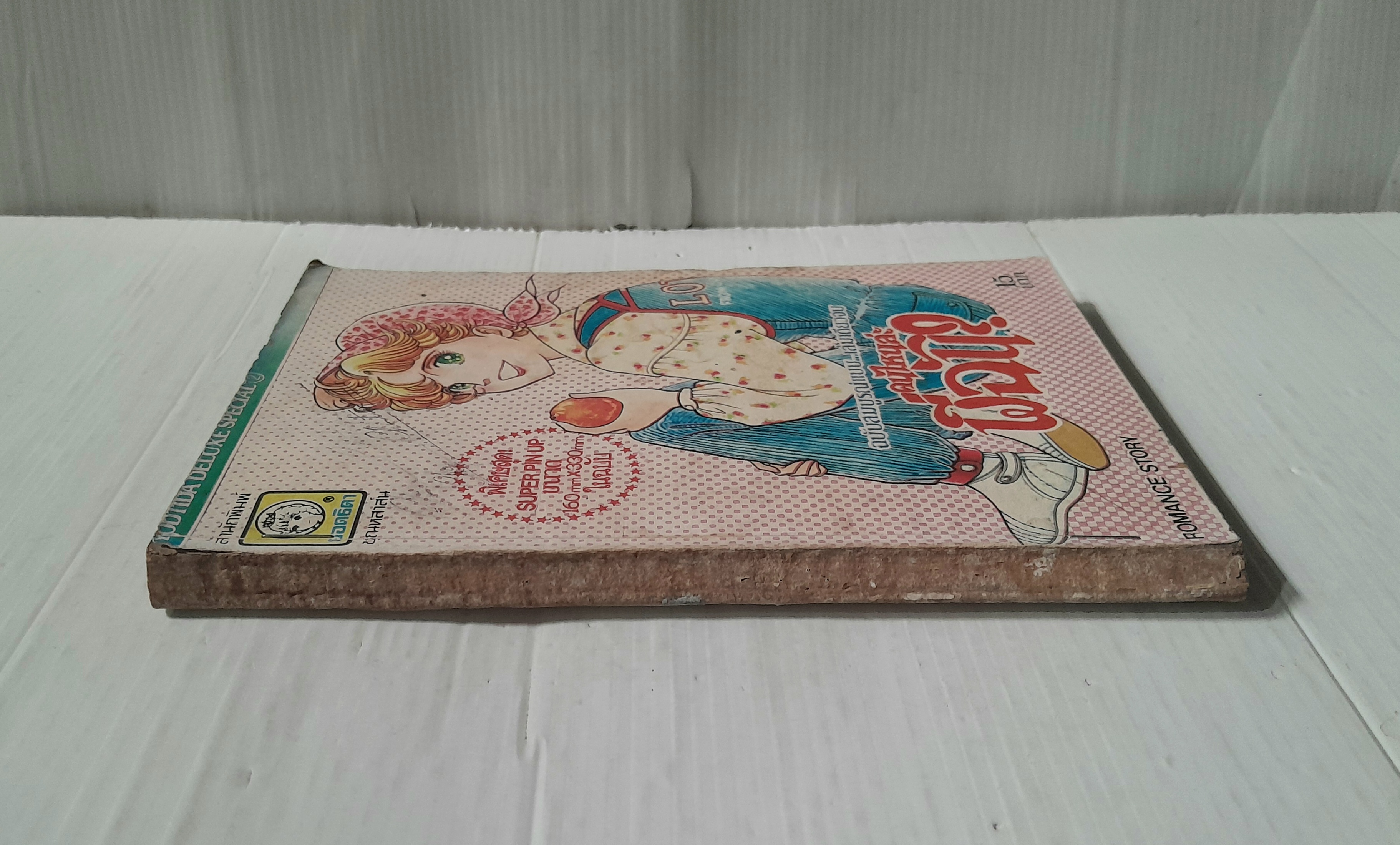 คนไหนล่ะพี่ฉัน? (เล่มเดียวจบ) / Shoji Yoko