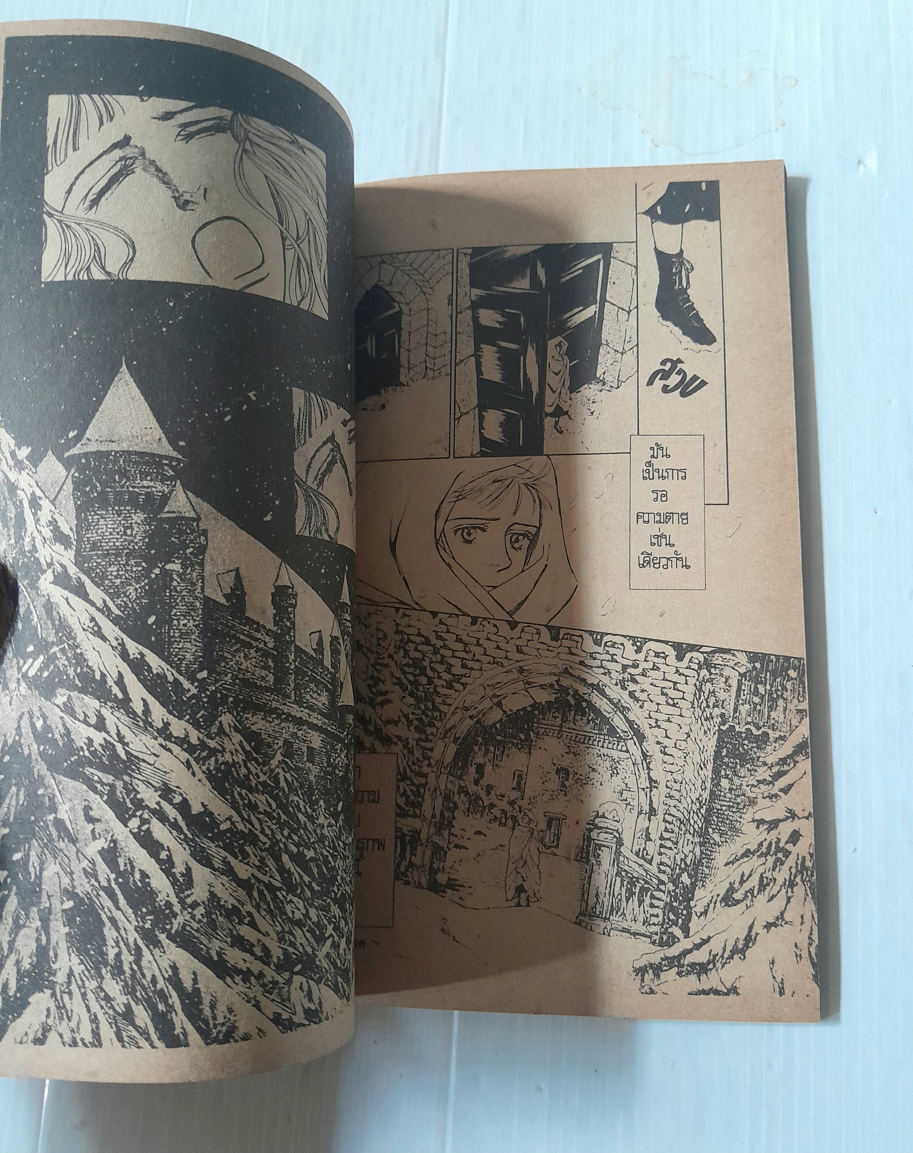 ภาพกระหายเลือด (เล่มเดียวจบ) / Mochizuki Reiko