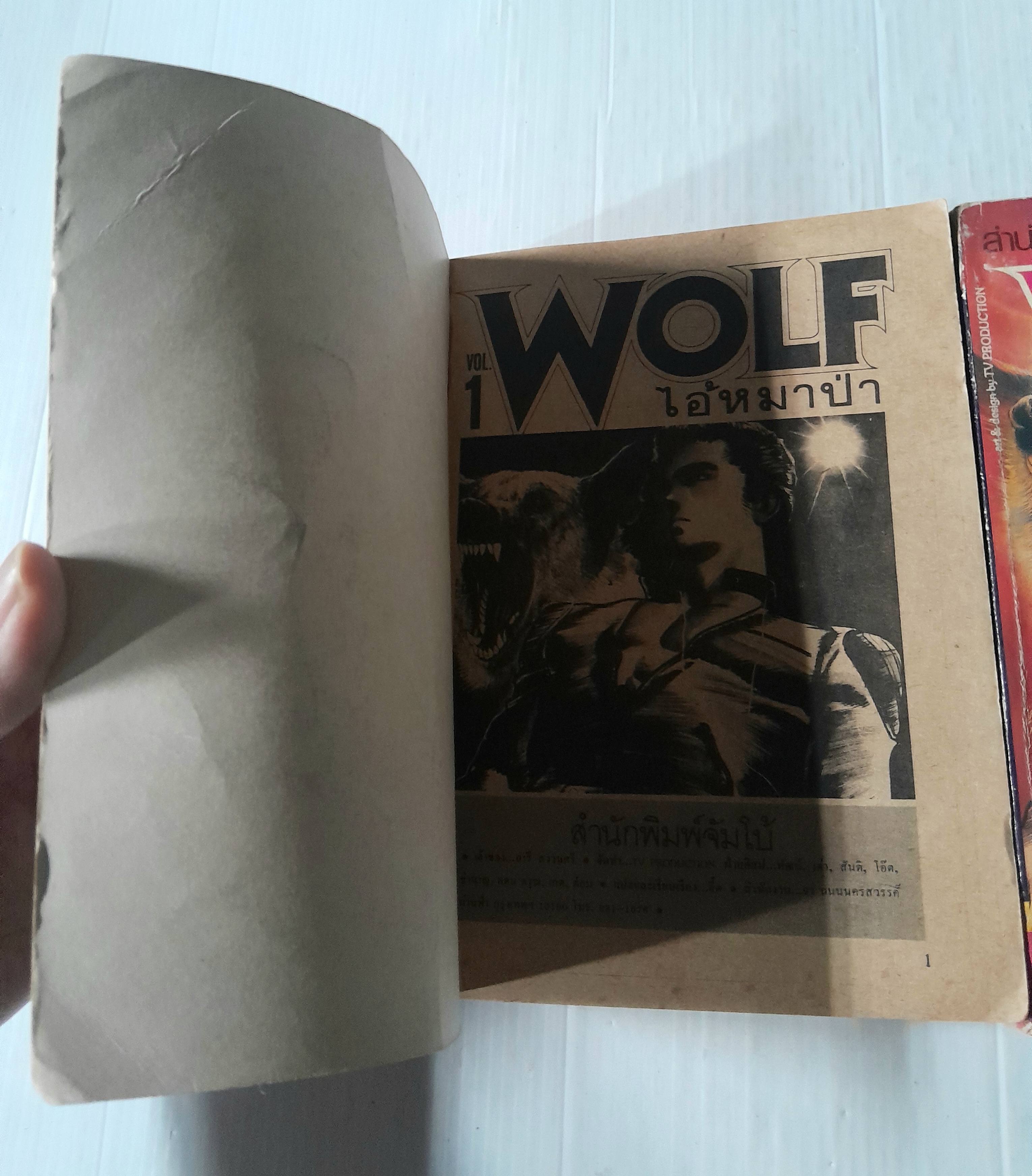 Wolf ไอ้หมาป่า 2 เล่มจบ / อิเคงามิ เรียวอิจิ