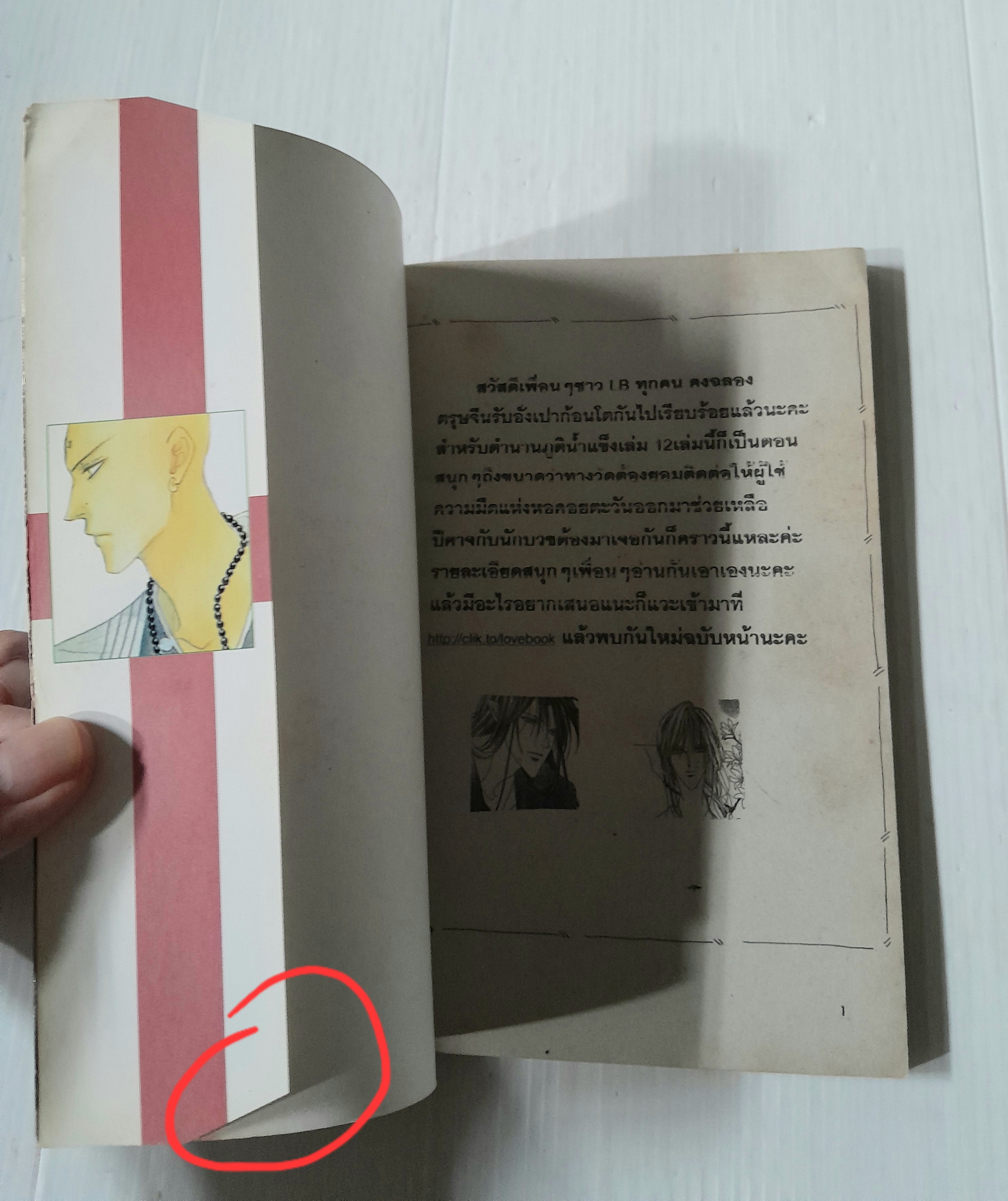 ตำนานภูตน้ำแข็ง เล่ม 12 (เล่มเดียวจบ) / Sugiura Shiho