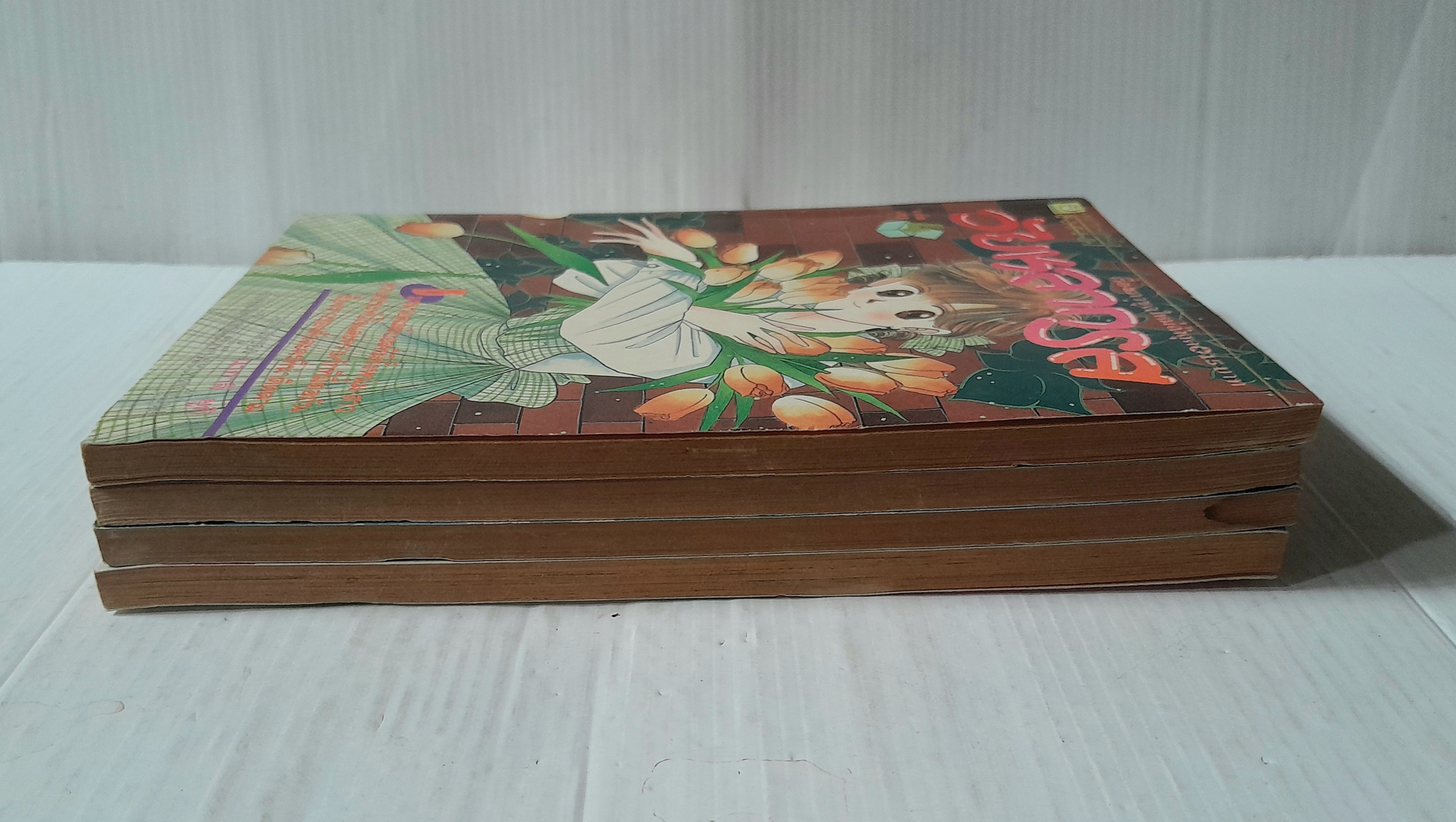 วัยหลากรส 4 เล่มจบ / นากาจิ ยูกิ