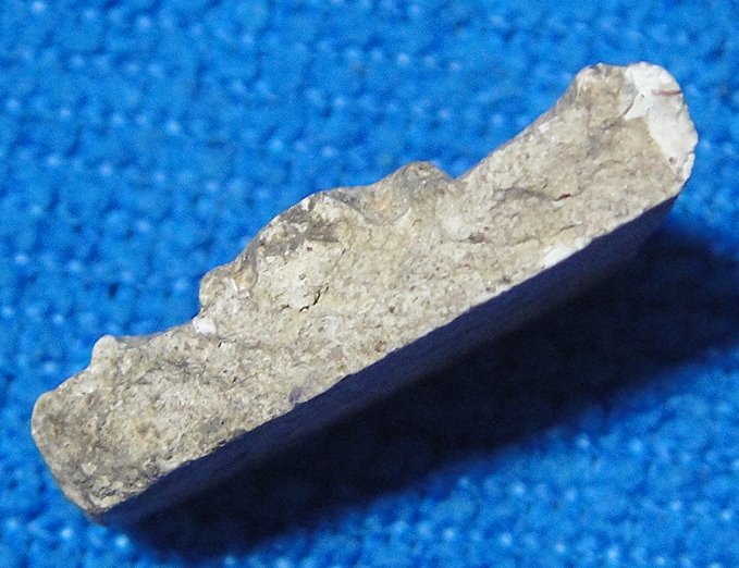 สมเด็จบางขุนพรหม อกครุฑ