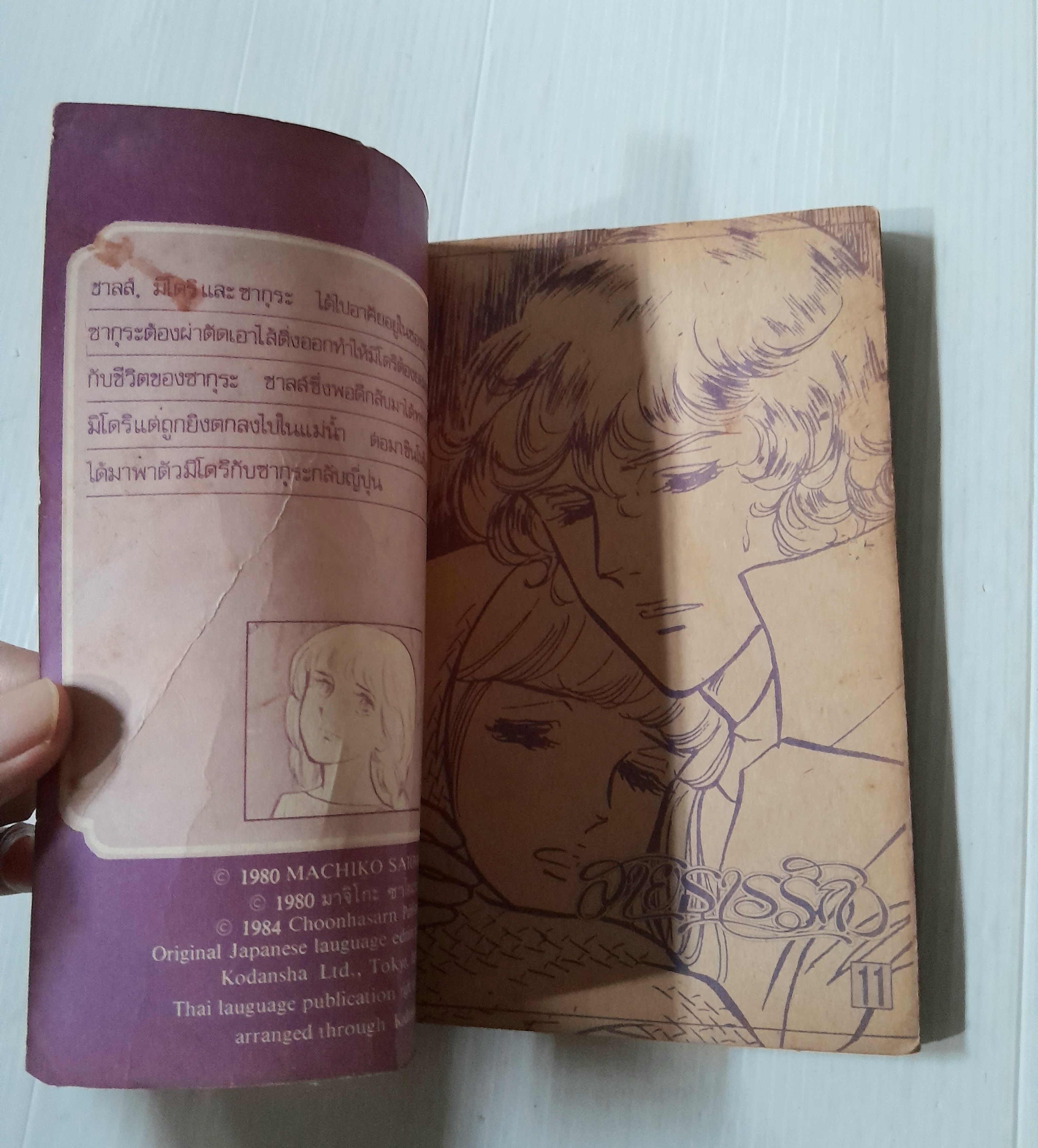 สายธารรัก เล่ม 11 / มาจิโกะ ซาโตนะกะ