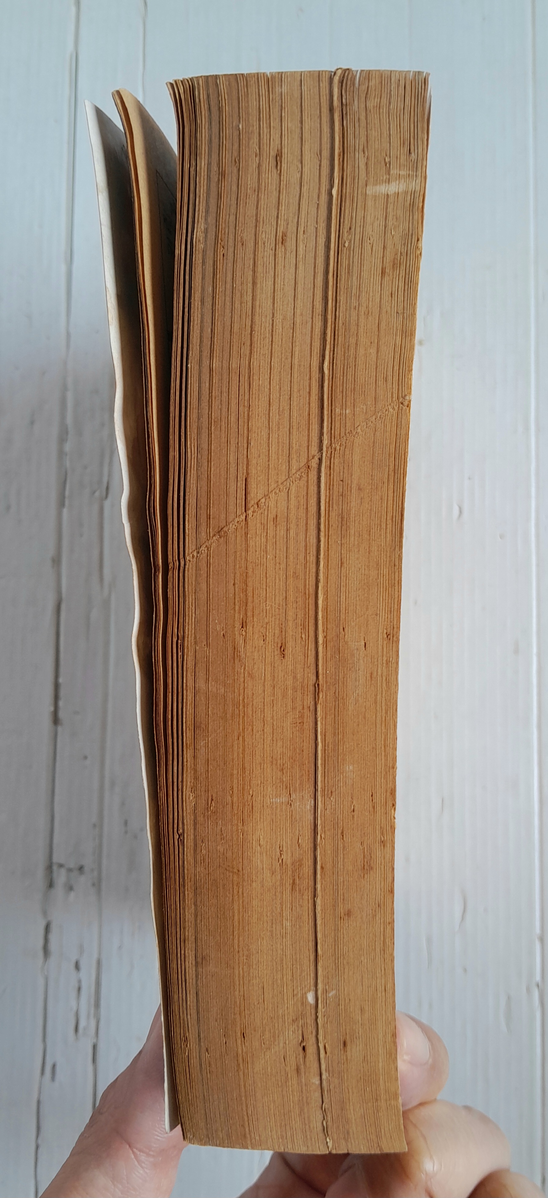 SCANDAL สลับร่างสลับรัก เล่มเดียวจบ / KENISHI KOTANI