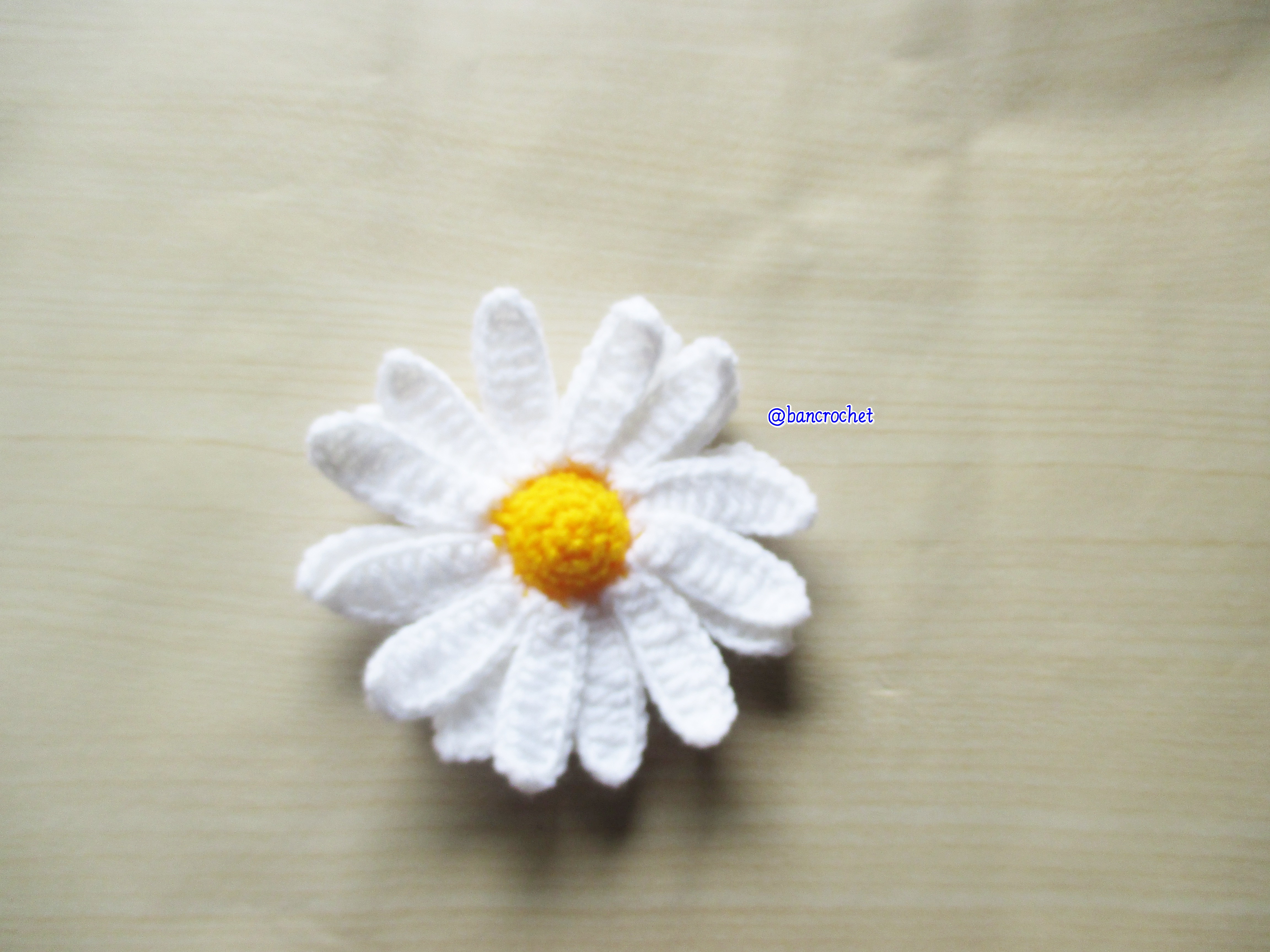 Bancrochet ดอกเดซี่ถักโครเชต์ Crochet Daisy Flower ขาว 3 inch