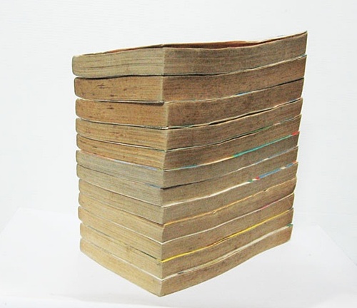 แกล้งจุ๊บให้รู้ว่ารัก 12 เล่มจบ