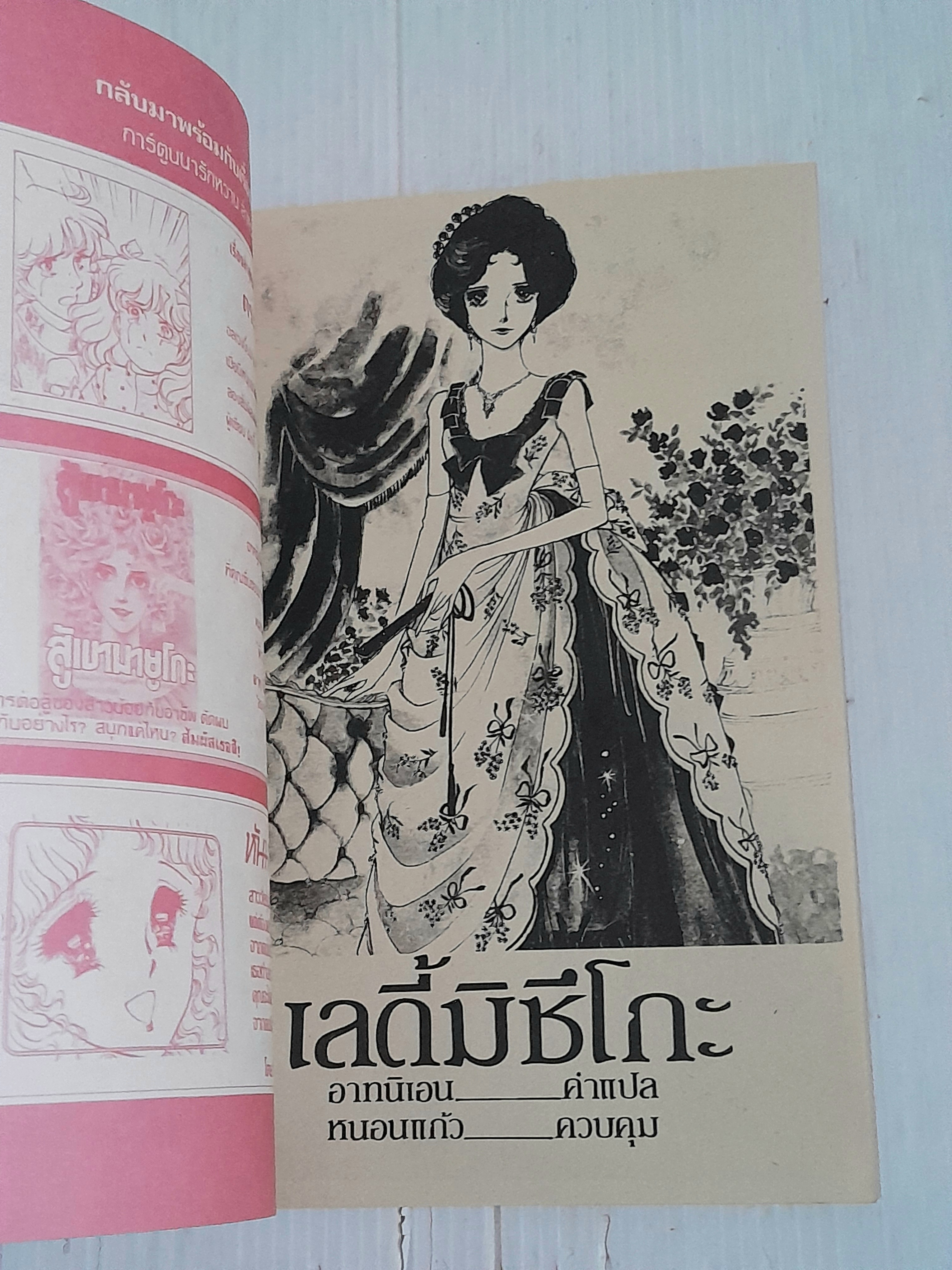 เลดี้มิซึโกะ (เล่มเดียวจบ) / Yamato Waki