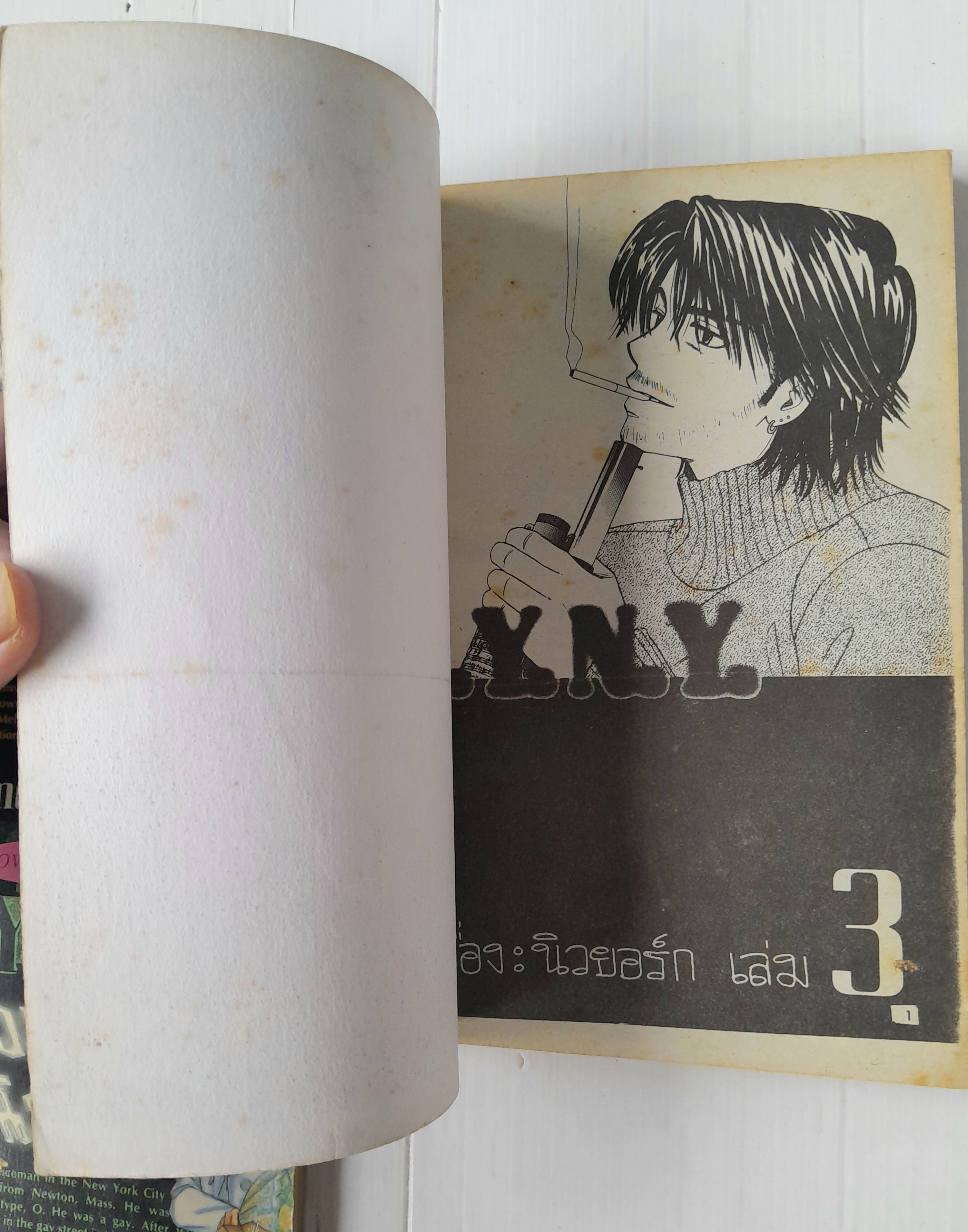 นิวยอร์ค นิวยอร์ค 4 เล่มจบ / Marimo Ragawa