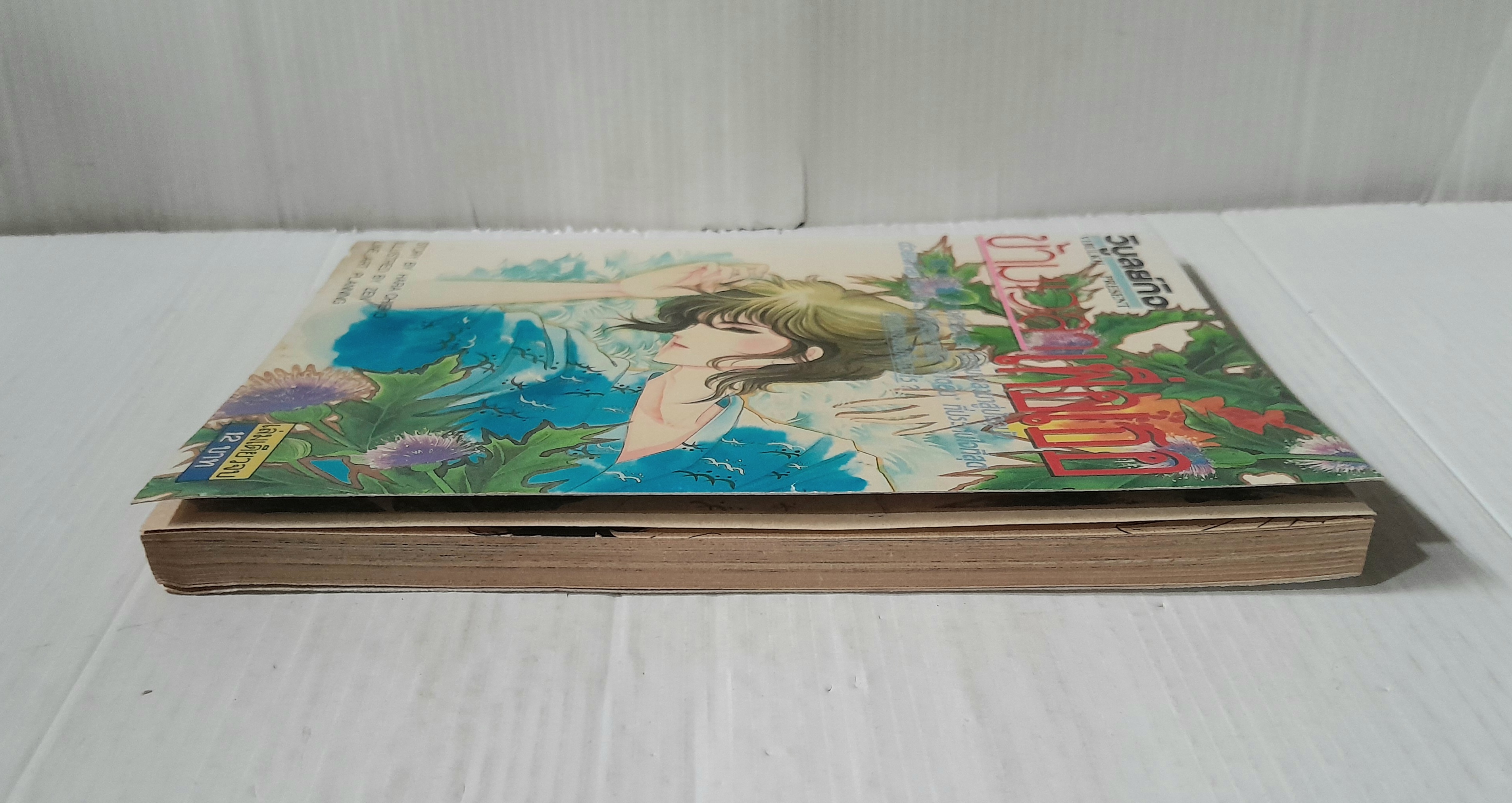 ข้ามเวลาเพื่อเธอ (เล่มเดียวจบ) / Chieko Hara