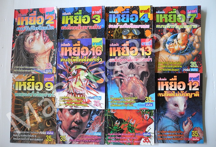 เหยื่อ เล่ม 2-4, 7, 9-13, 16 ( รวม 10 เล่ม)