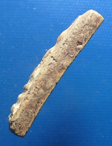 พระสมเด็จ พิมพ์เจดีย์