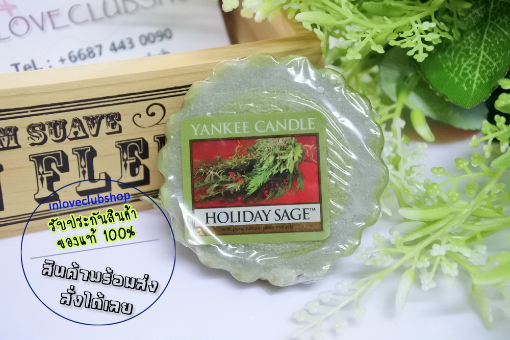 Yankee Candle / Tarts Wax Melts 22 g. (Holiday Sage)