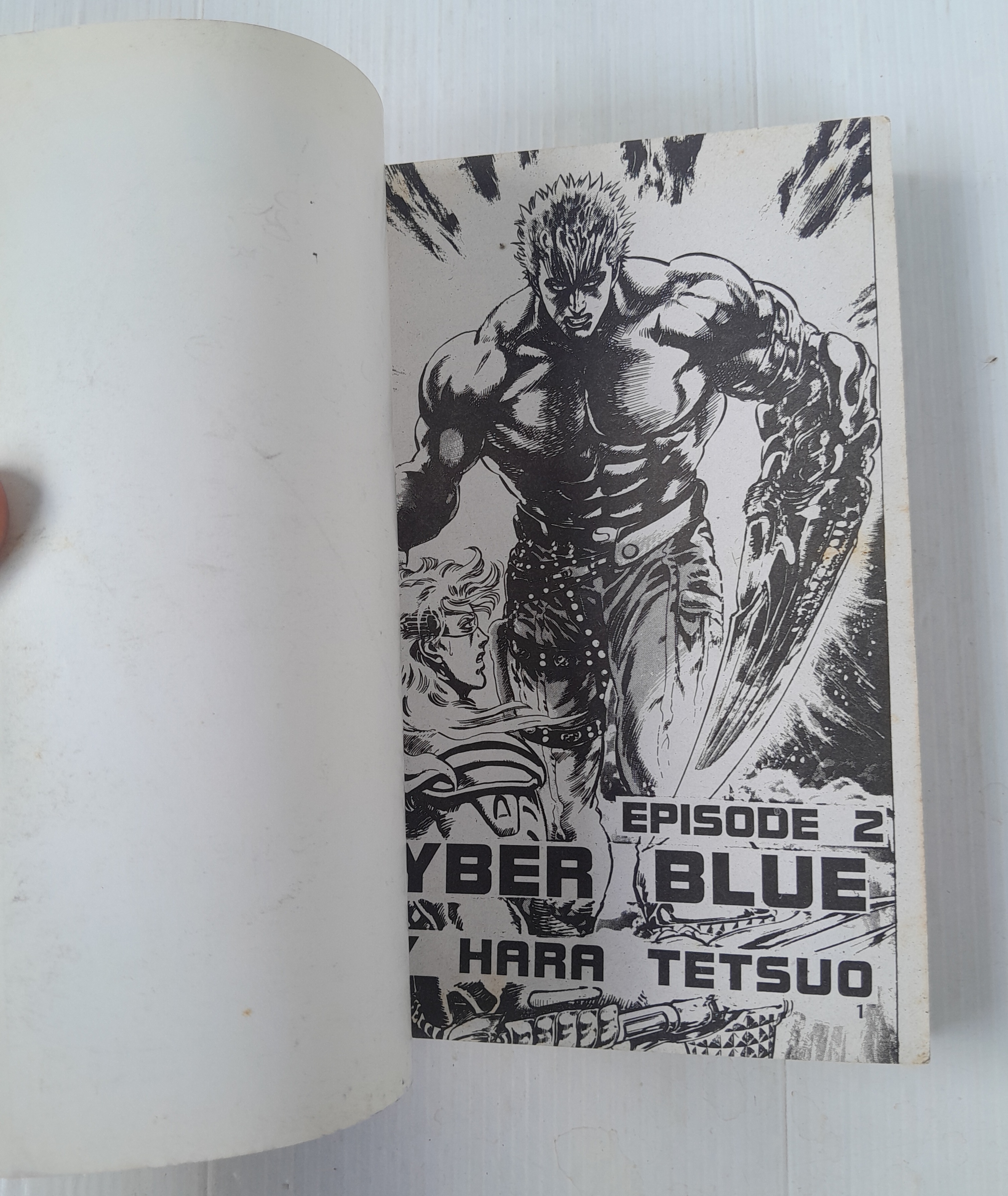 ไซเบอร์บูล 2 เล่มจบ / ฮาร่า เท็ตสึโอะ