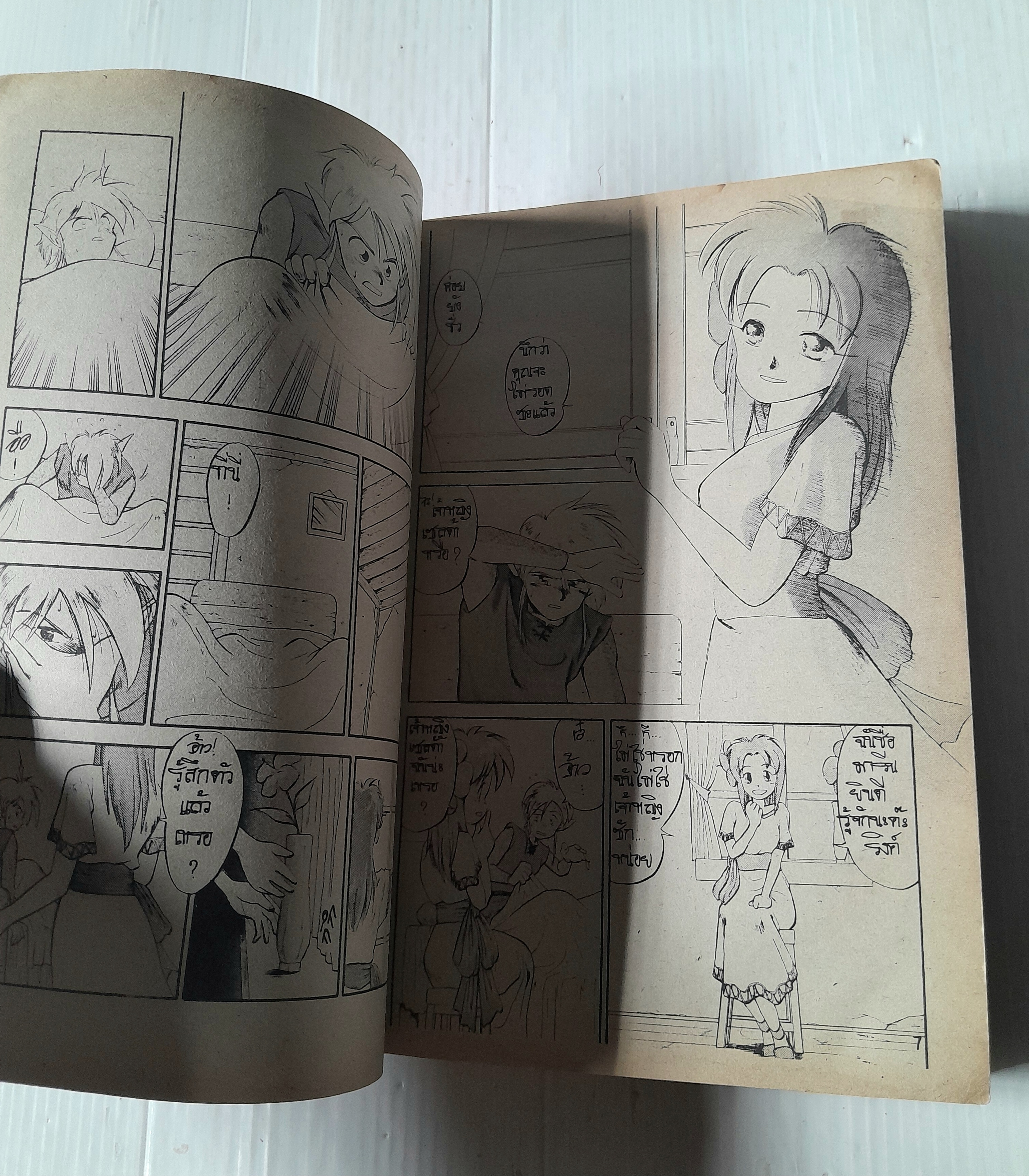 ตำนานนักรบเชลด้า (เล่มเดียวจบ)