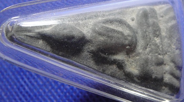 พระนางพญาเหล็กเปียก พระธาตุพนม