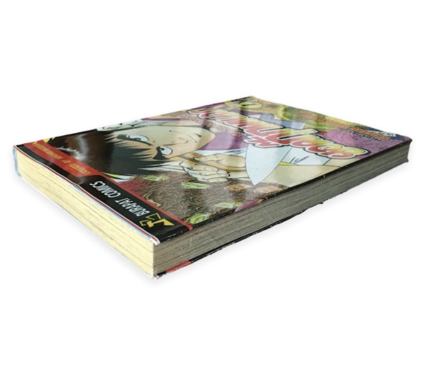 ยอดกุ๊กพเนจร 6 เล่มจบ