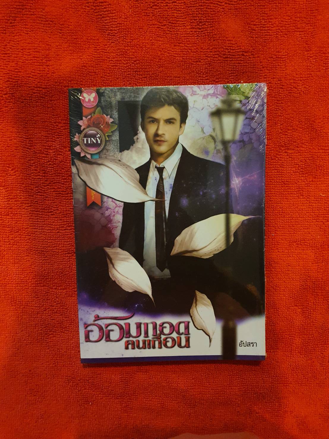 อ้อมกอดคนเถื่อน /อัปสรา /สนพ.มันดี (หนังสือยังอยู่ในซีล)หนังสือนิยายมือสอง นิยายใหม่ ราคาถูก