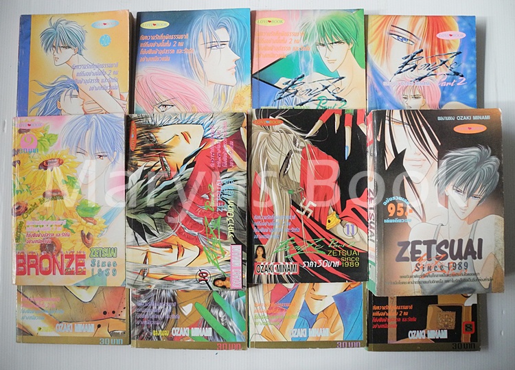 ZETSUAI ภาค 1 (เล่มเดีียวจบ) + BRONZE ภาค 2 (11 เล่มจบ) / Minami Ozaki