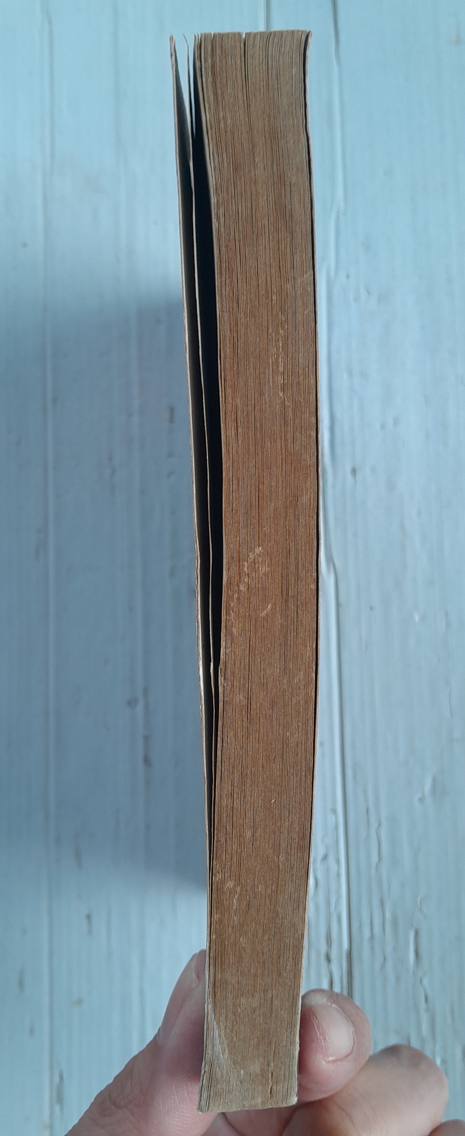 หมาป่าอสูร (เล่มเดียวจบ) / Haruhiko Masuda