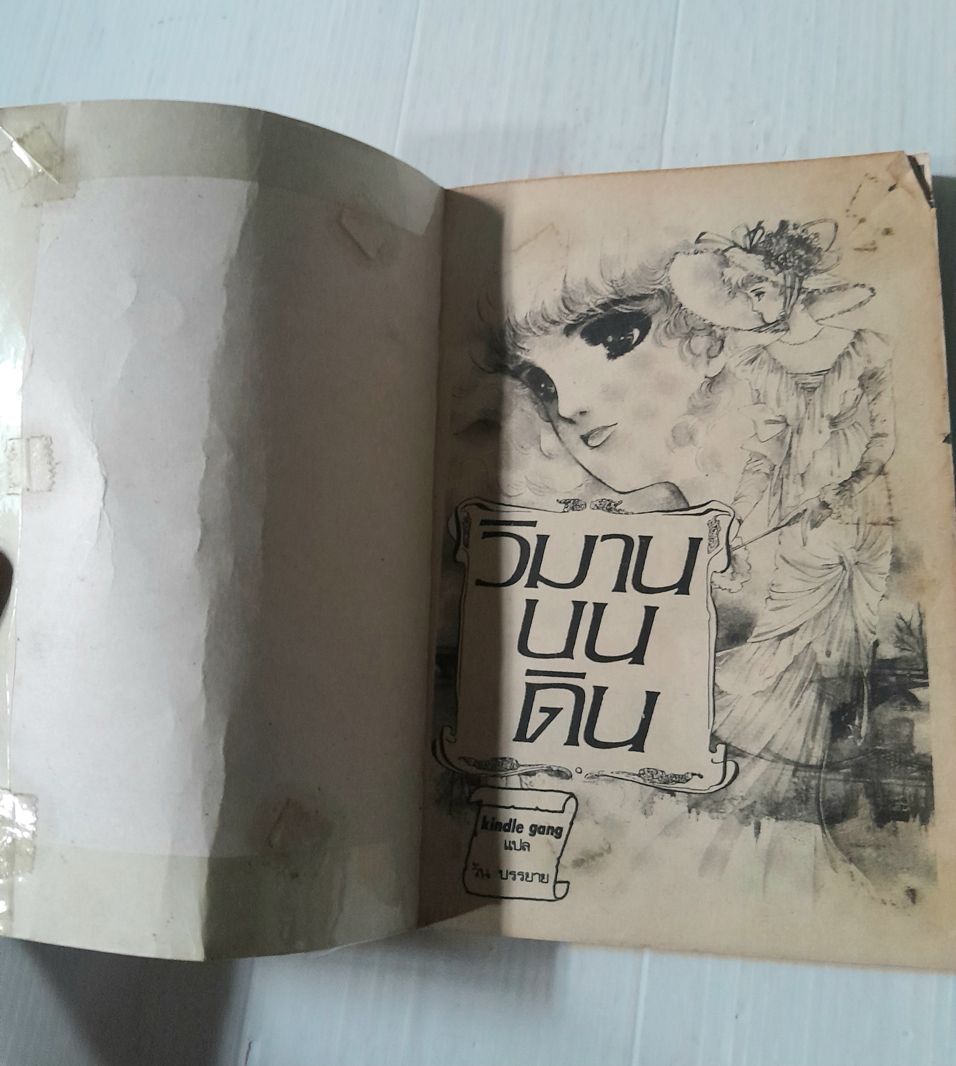 วิมานบนดิน (เล่มเดียวจบ)