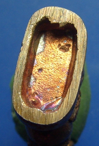 แพะอาจารย์นำ