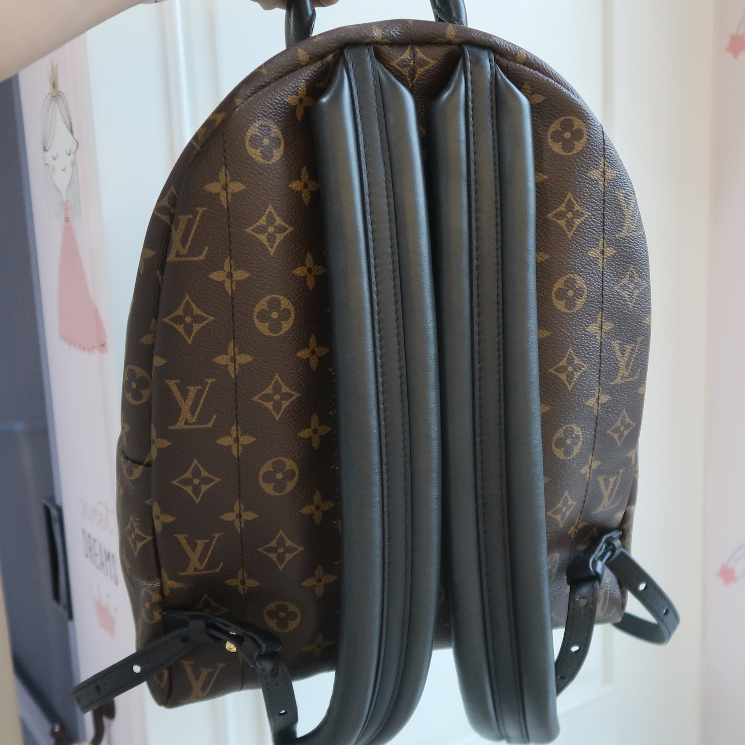 Louis Vuitton Monogram Palm Spring MM