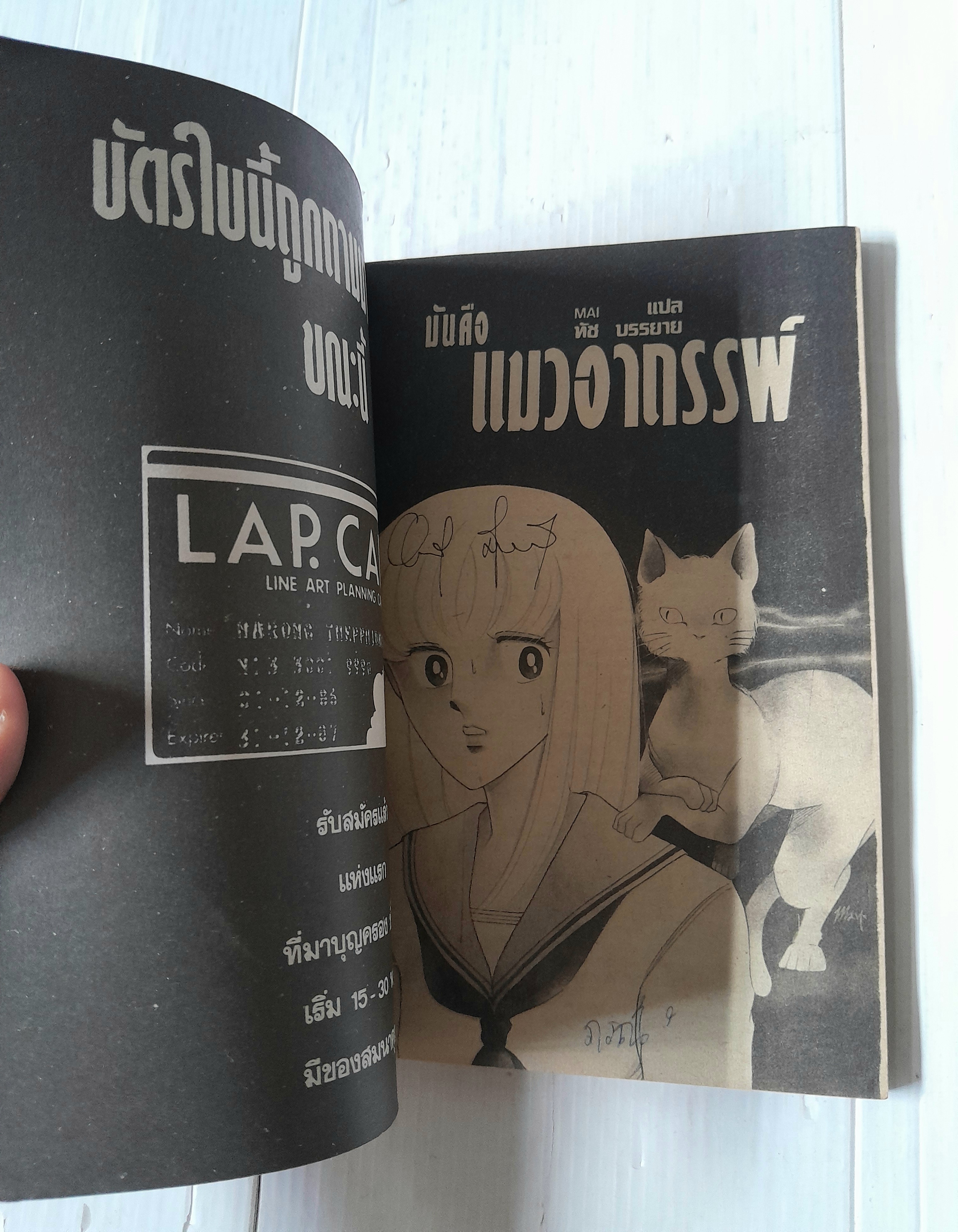 มันคือแมวอาถรรพ์ (เล่มเดียวจบ) / Chinohara Chie