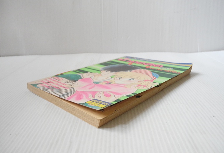 รักอุตลุดของนานามิจัง