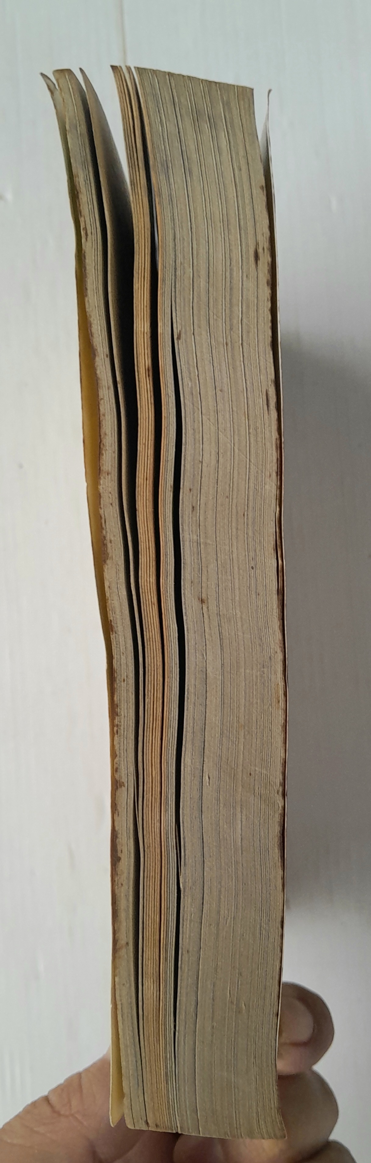 แผ่นดิสก์สื่อรัก (เล่มเดียวจบ) / Fujita kazuko